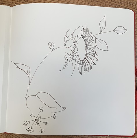 Outlines