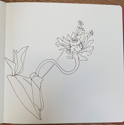Outlines
