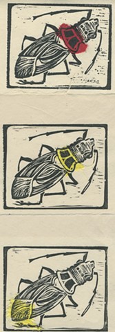 Beetle Variaation