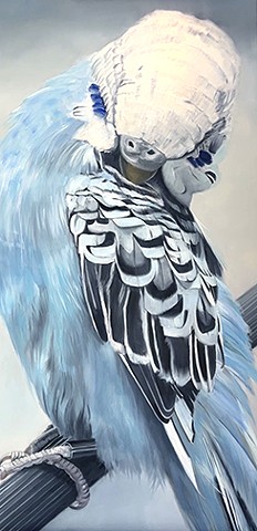 "Feathers #3"
