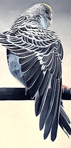"Feathers" #4