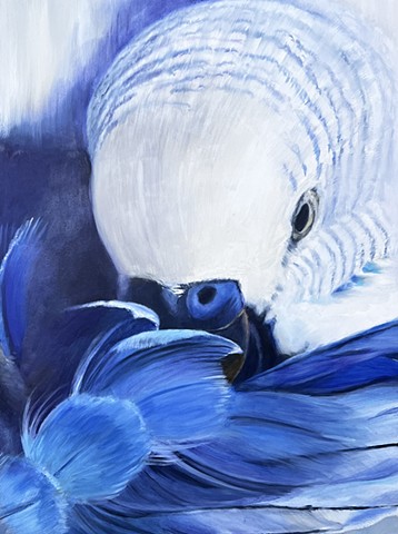 "Blue Parakeet"