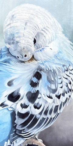 "Feathers #1"