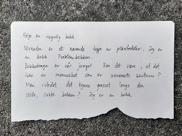 Å følge en usynlig bekk, detalj