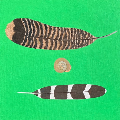 Feathers and Shell
