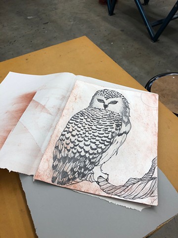 Printmaking Process Owl 