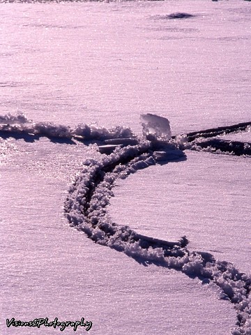 Cracked Ice Wilmette Harbor Wilmette Il. -50 Degree Wind Chill