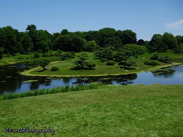 View of Japanese Lagoon and Islands Chicago Botanic Garden Glencoe Il.