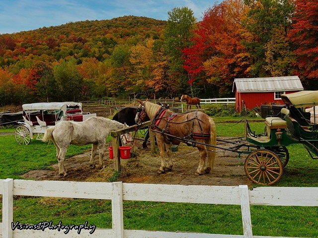 Red Covered Bridge Horses and Old Buggy Vt