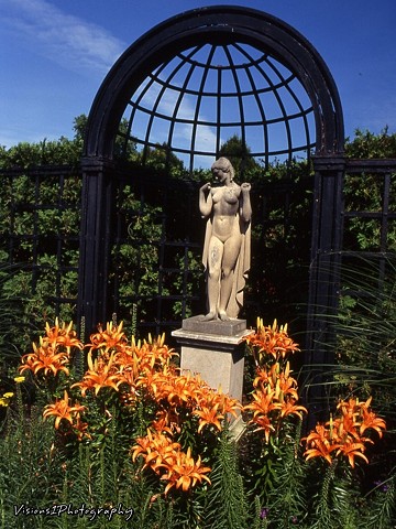 Statuary with Lilies Cantigny Park in Wheaton, IL.