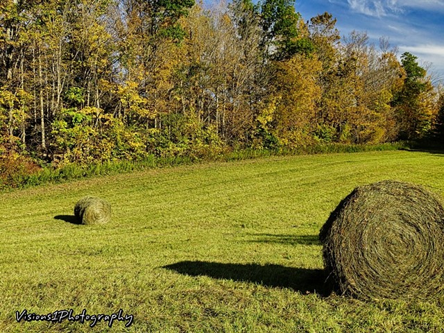Hay Rolls in Farm Field Vt.