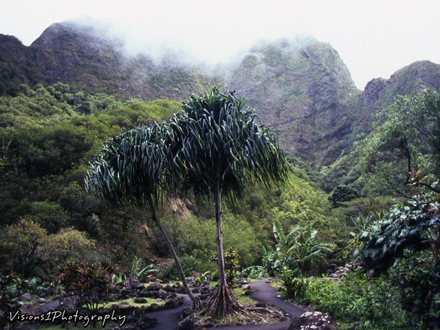 Iao Valley State Park Maui Hi.