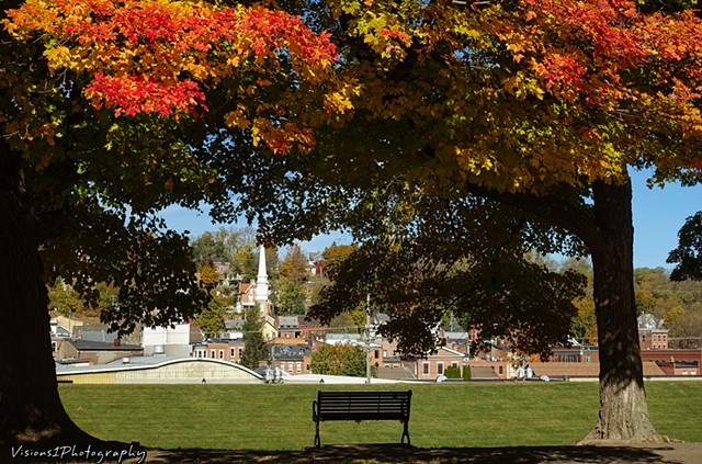 Galena and Fall Trees from Grant Park (15)