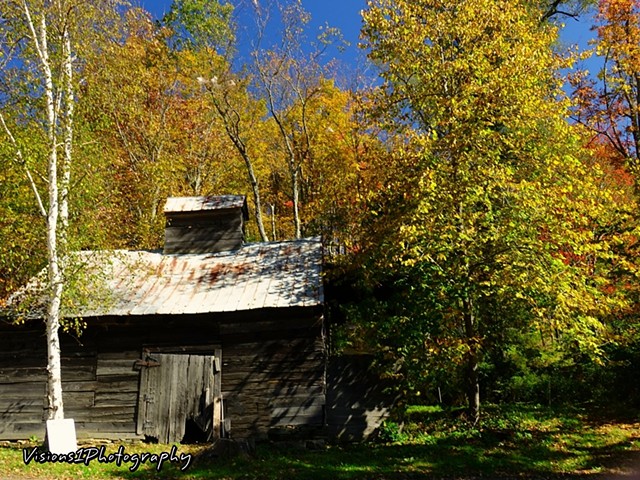 Fall Trees and Old Barn Vt.