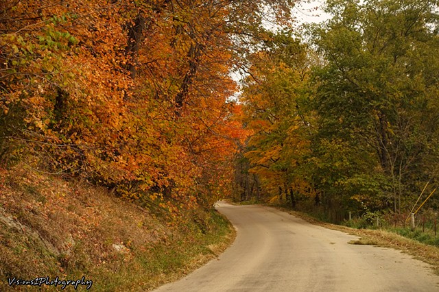 Winding Road in Fall (4)