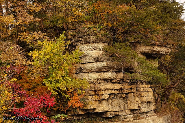 Apple River Canyon State Park in Fall (49)