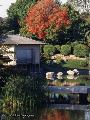 Japanese Garden in Fall - Chicago Botanic Garden Glencoe, Il.