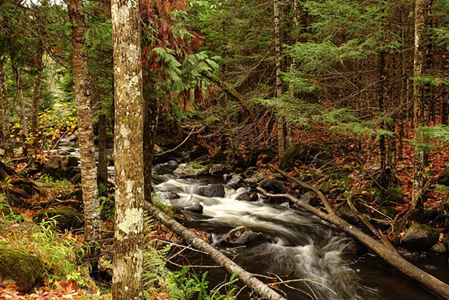 Bond Falls