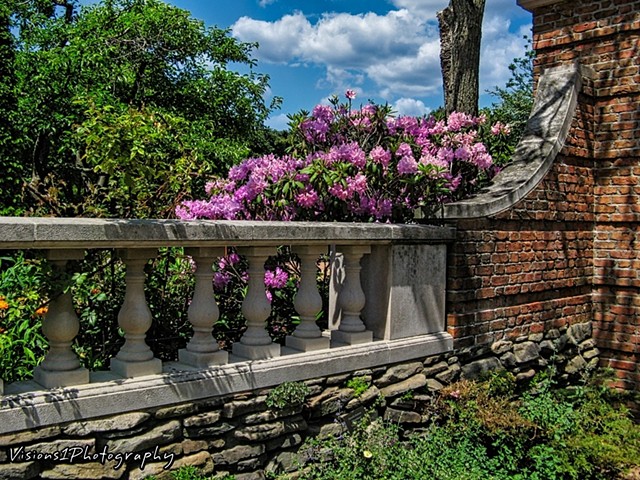 English Walled Garden with Rhododendron Chicago Botanic Garden Glencoe, Il.