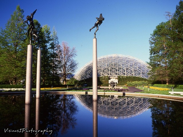 Missouri Botanical Garden St. Louis Mo.