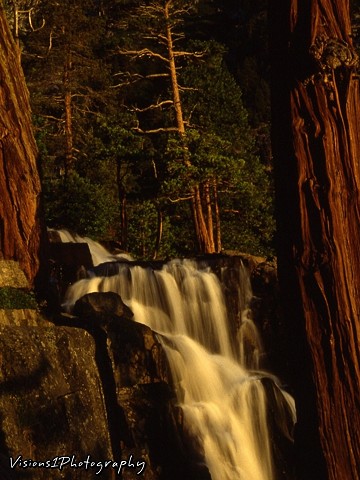 Eagle Falls at Sunrise with Redwoods Lake Tahoe Ca.