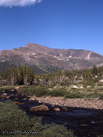 Sierra Mountain Stream Ca.