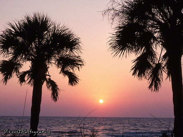 Sunset With Palm Trees Florida