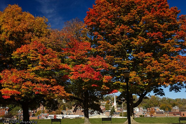 Galena and Fall Trees from Grant Park (1)