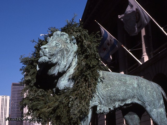 Lion at Art Institute with Wreath Around Head Chicago Il.