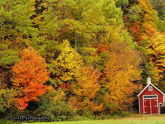 Small Red Barn and Fall Trees Vt.