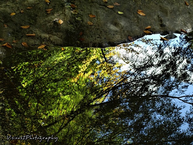 "At Waters Edge" Fall Tree Reflections Vermont