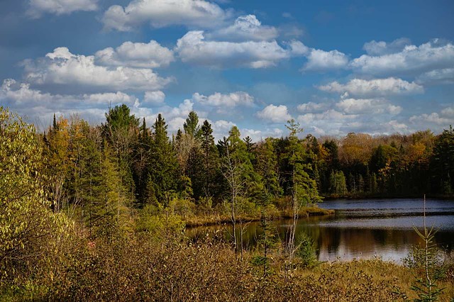 Lake and Fall Trees