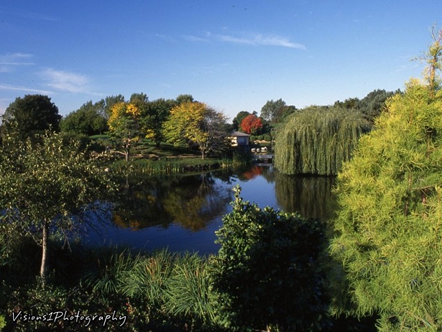Japanese Garden in Fall - Botanic Garden Glencoe, Il.