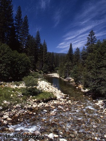 Mountain Stream Yosemite National Park Ca.