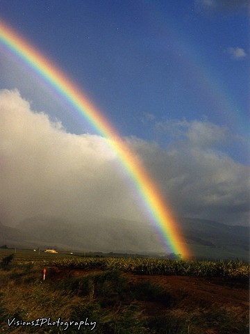 Maui Rainbow