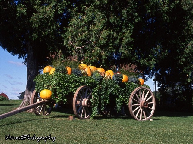Wisconsin - Pumpkins on Wooden Cart