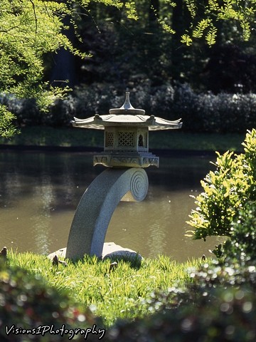 Japanese Lantern Missouri Botanical Garden St. Louis Mo.