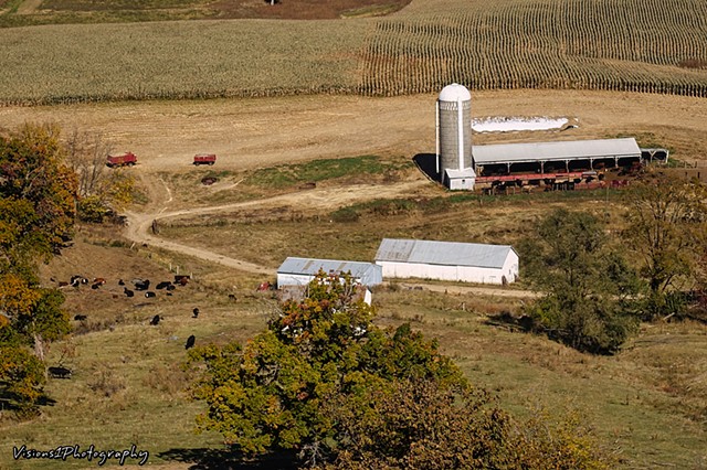 Rolling Farmland in SE Iowa (1)