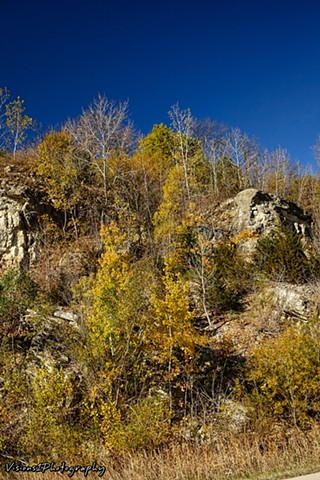 Fall Trees in Rocky Cliffs (16)