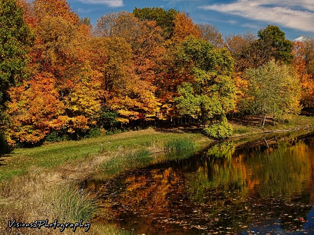 Fall Trees and Pond