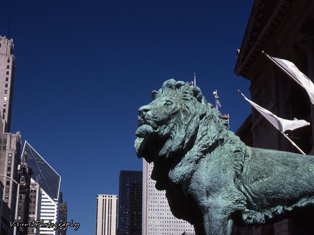 Lions at Art Institute Of Chicago Il.