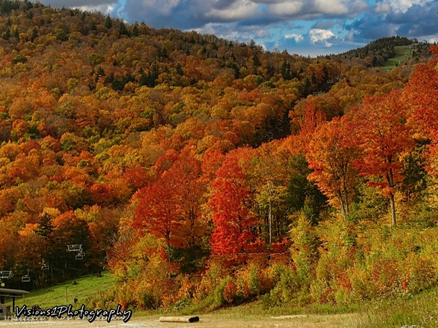 Fall Tree Landscapes Killington Vt.