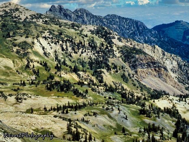 View From the Top of Snowbird Valley Utah