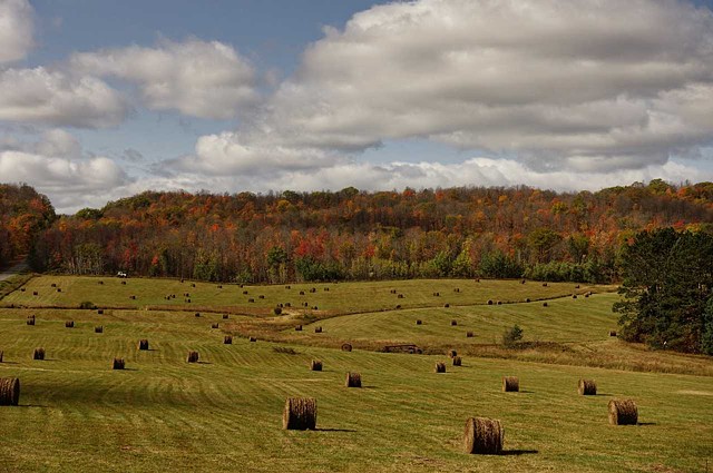 Farm with Hay Bales