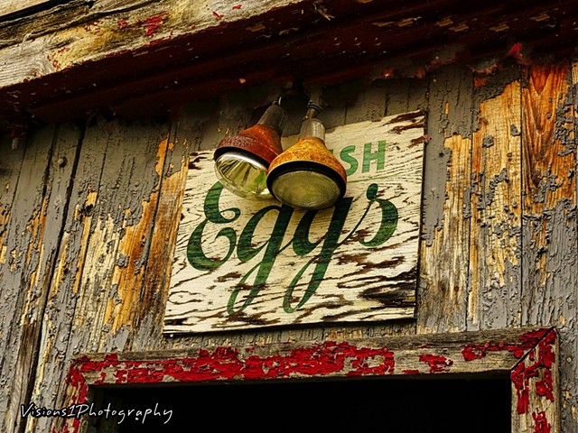 Old Painted Eggs Sign on Barn in Vt.