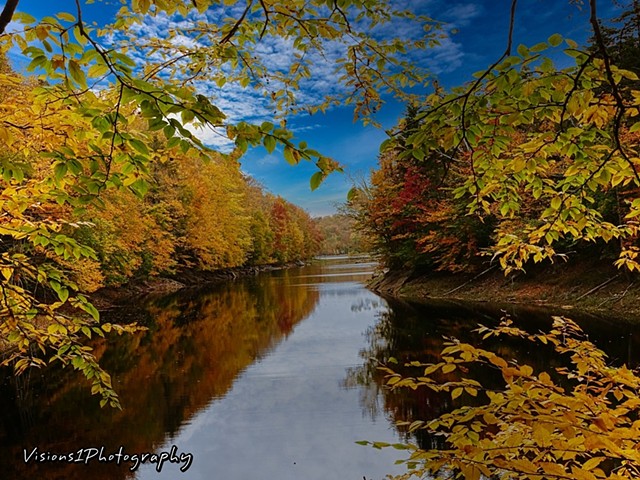 River With Fall Trees Vermont