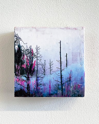 Forest For Trees