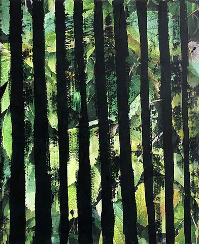 Dappled Light II