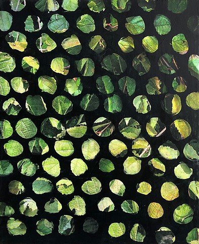 Dappled Light III