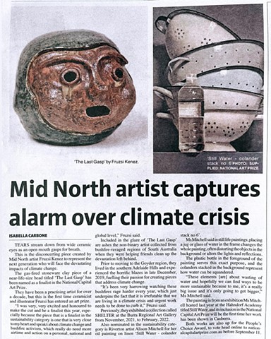 Work about bushfires and global warming in the local newspaper 2022